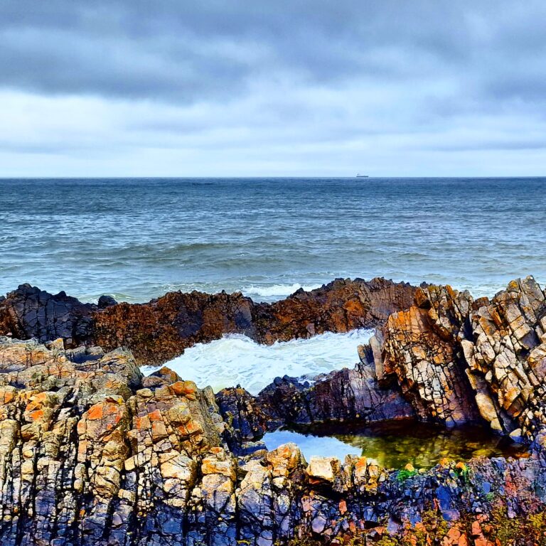 Sharp rocks on the Moray coast