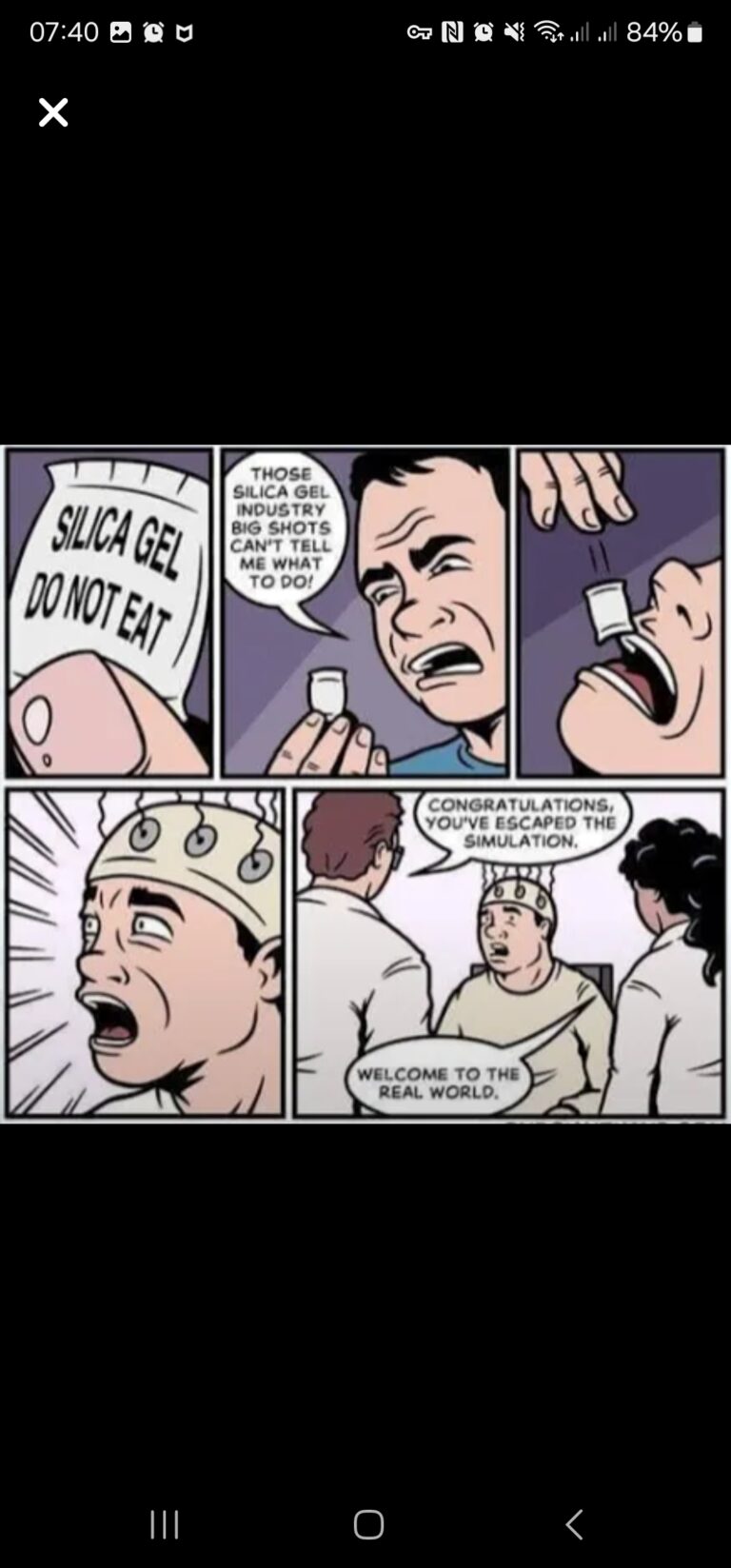 Silly Silica Suicide